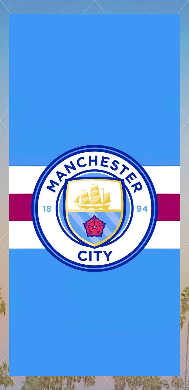 阿森纳圣诞登顶英超，历史数据揭示半数领跑者最终夺冠（阿森纳圣诞领跑英超，过往数据显示半数榜首最终夺冠）